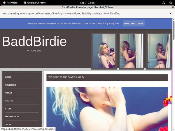 BaddBirdie Sign