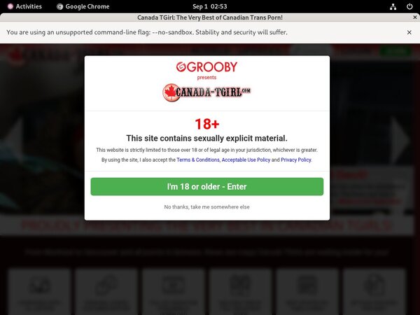 Canada TGirl Verotel