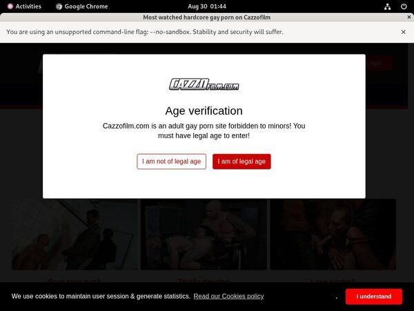 Cazzo Checkout Page