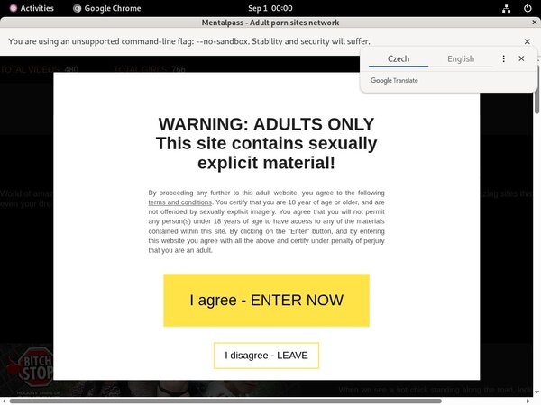 Com Mentalpass Premium Accounts