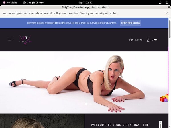 Dirtytina.site Web Billing