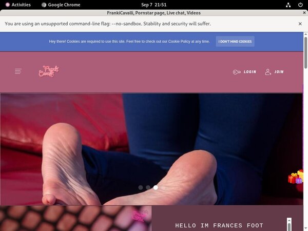 Frances.modelcentro.com Direct Pay Frances.modelcentro.com Direct Pay