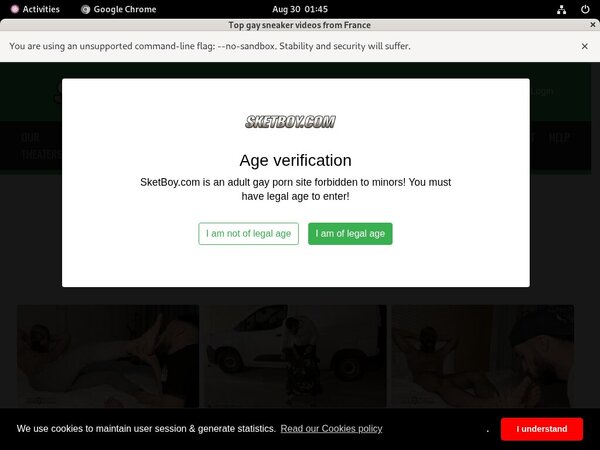 Free Sketboy.com Premium Acc
