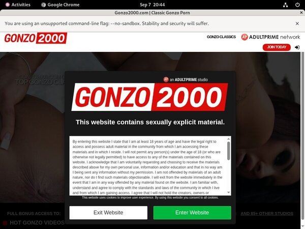 Gonzo2000 Porn Account