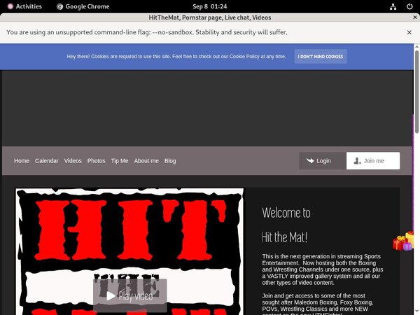 Hitthemat.modelcentro.com Passes