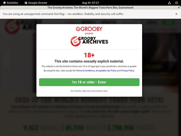 Join Thegroobyarchives With Paypal