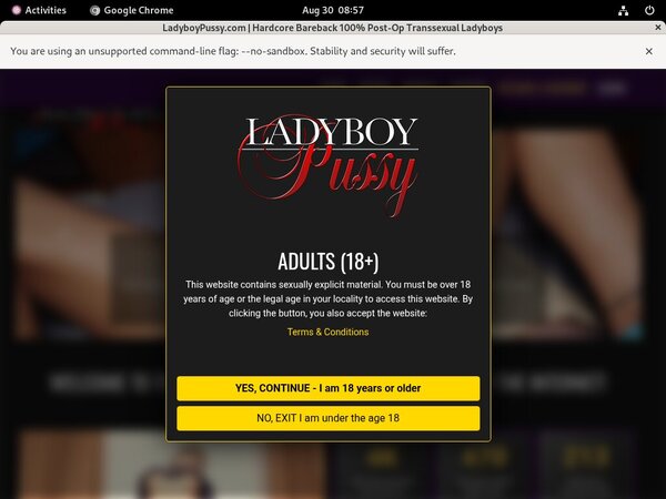 Ladyboy Pussy Paypal Offer