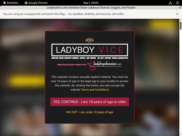 Ladyboyvice.com Account Passwords
