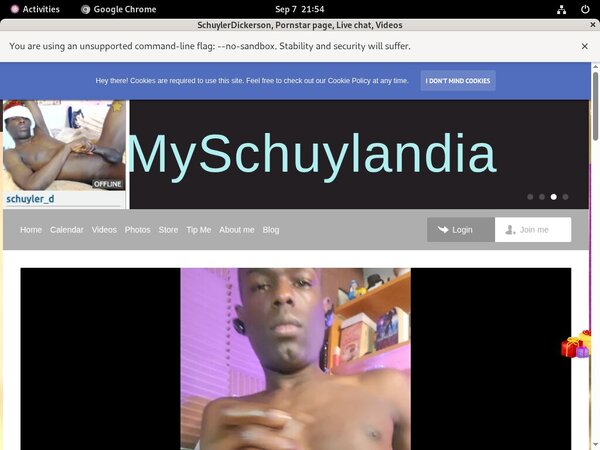 Myschuylandia.com Websites