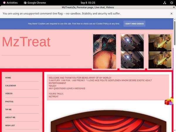 MzTreatz3x User Name
