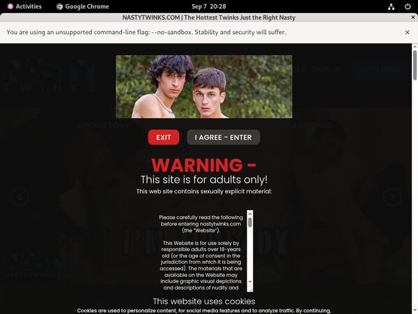 Nasty Twinks Paypal Order