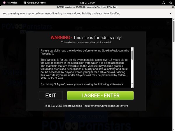 [Image: POV-Pornstars-Login-Info.jpg]