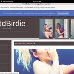 Paypal Signup BaddBirdie
