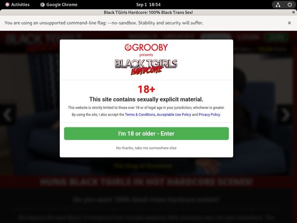 [Image: Premium-Black-TGirls-Hardcore-Account-Free.jpg]