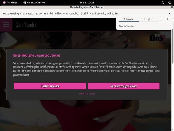 Sari-sander.com Trial Promo