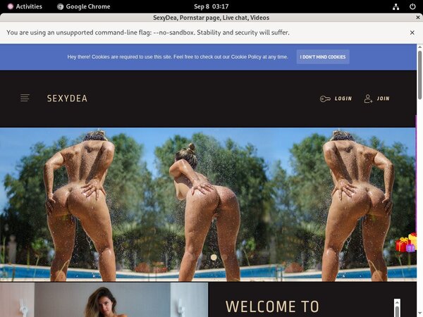 Sexydea.xxx Site Passwords
