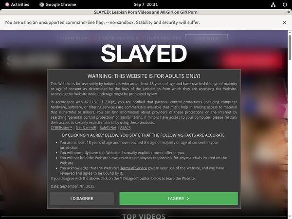 Slayed Account Information