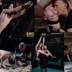 Subspaceland.com Hacked Password Subspaceland.com Hacked Password