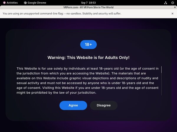 VR Porn Pornstar