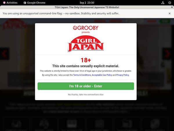 Valid TGirl Japan Passwords