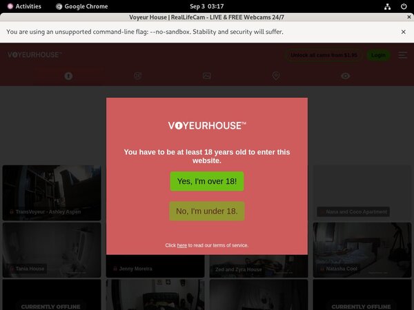 Voyeurhouse Limited Time Discount