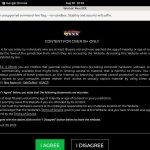 Workin Men XXX Premium Pass