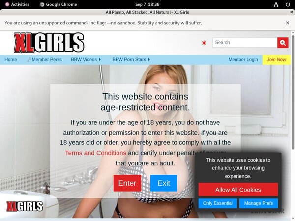 Xlgirls Payment Options