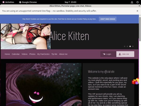 Alicekitten.modelcentro.com Billing