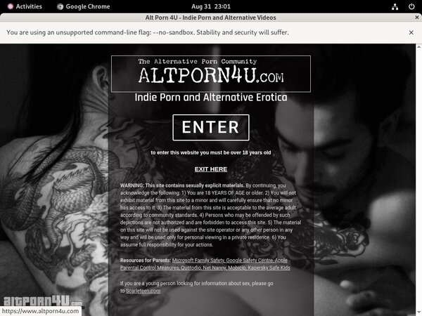Alt Porn 4 U 2020