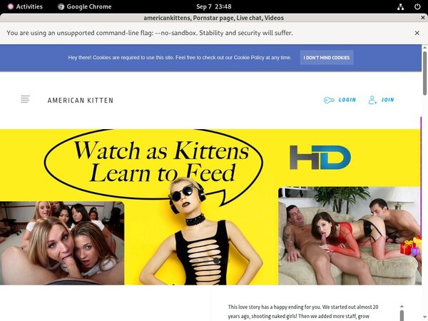 Americankittens Registration Form