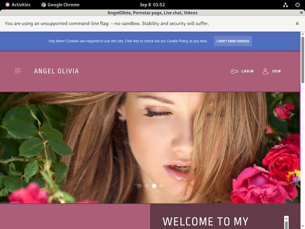 Angelolivia.modelcentro.com Discount Rate
