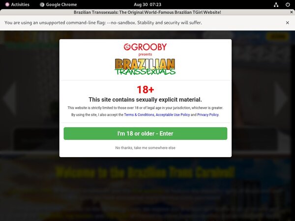 Braziliantranssexuals Models Braziliantranssexuals Models