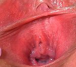 Free Access Gape My Pussy Free Access Gape My Pussy