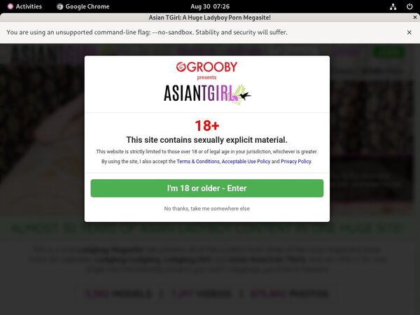 Ladyboy Ladyboy Tgp