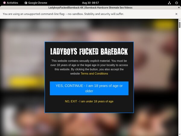 Ladyboys Fucked Bareback Discount Promotion