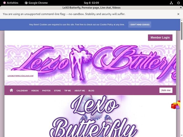 LeXOButterfly Jpost