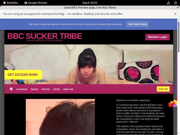 Linxer2013.modelcentro.com Pornstars