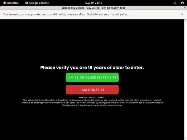 Schoolboyvideos Full Movie