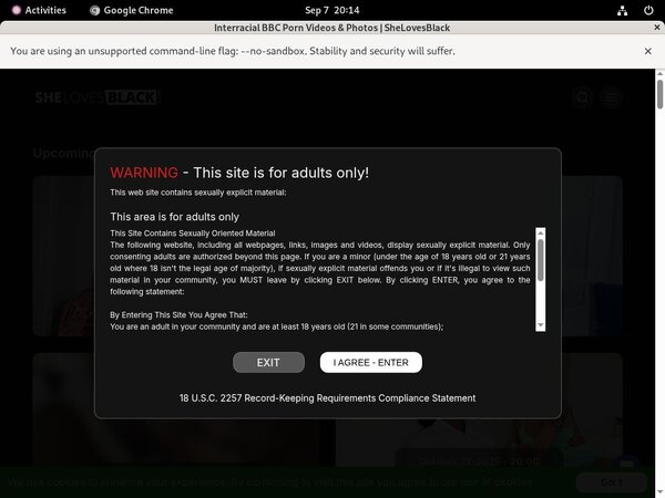 She Loves Black Strapon