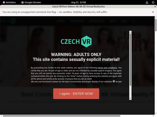 Czechvr Pay