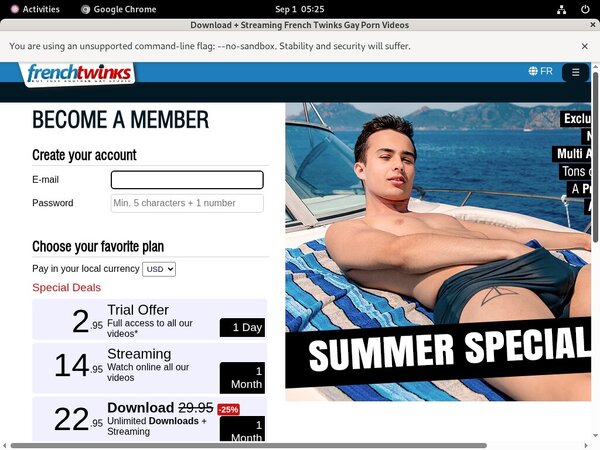 French Twinks Discount Member